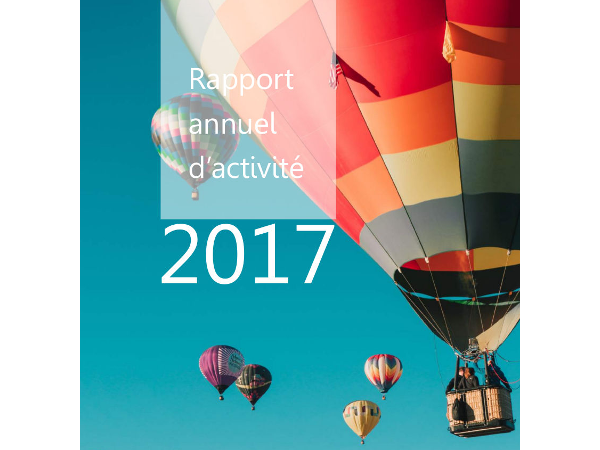 Rapport activité 2017